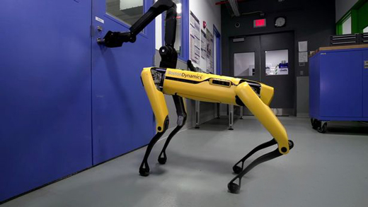 Robot dog 1